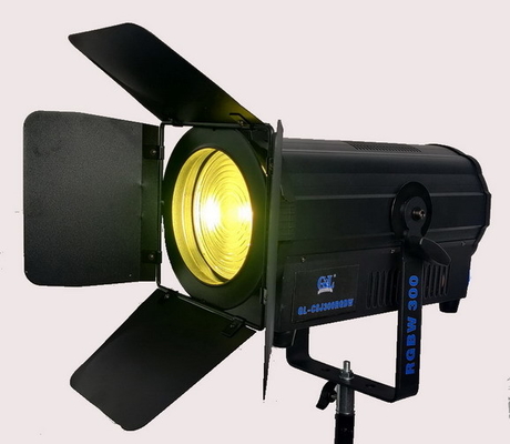 Lâmpada de ponto de Fresnel de 300W (Lente de Fresnel) fornecedor