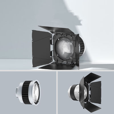 F10 Fresnel Lens Universal Bowen Mounts Studio Light Condenser for Photography Light fornecedor