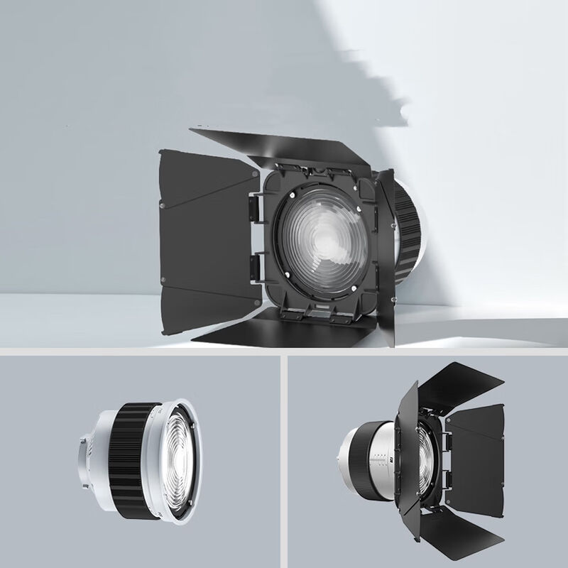 F20 Fresnel Lens Universal Bowen Mounts Studio Light Condenser for Photography Light fornecedor